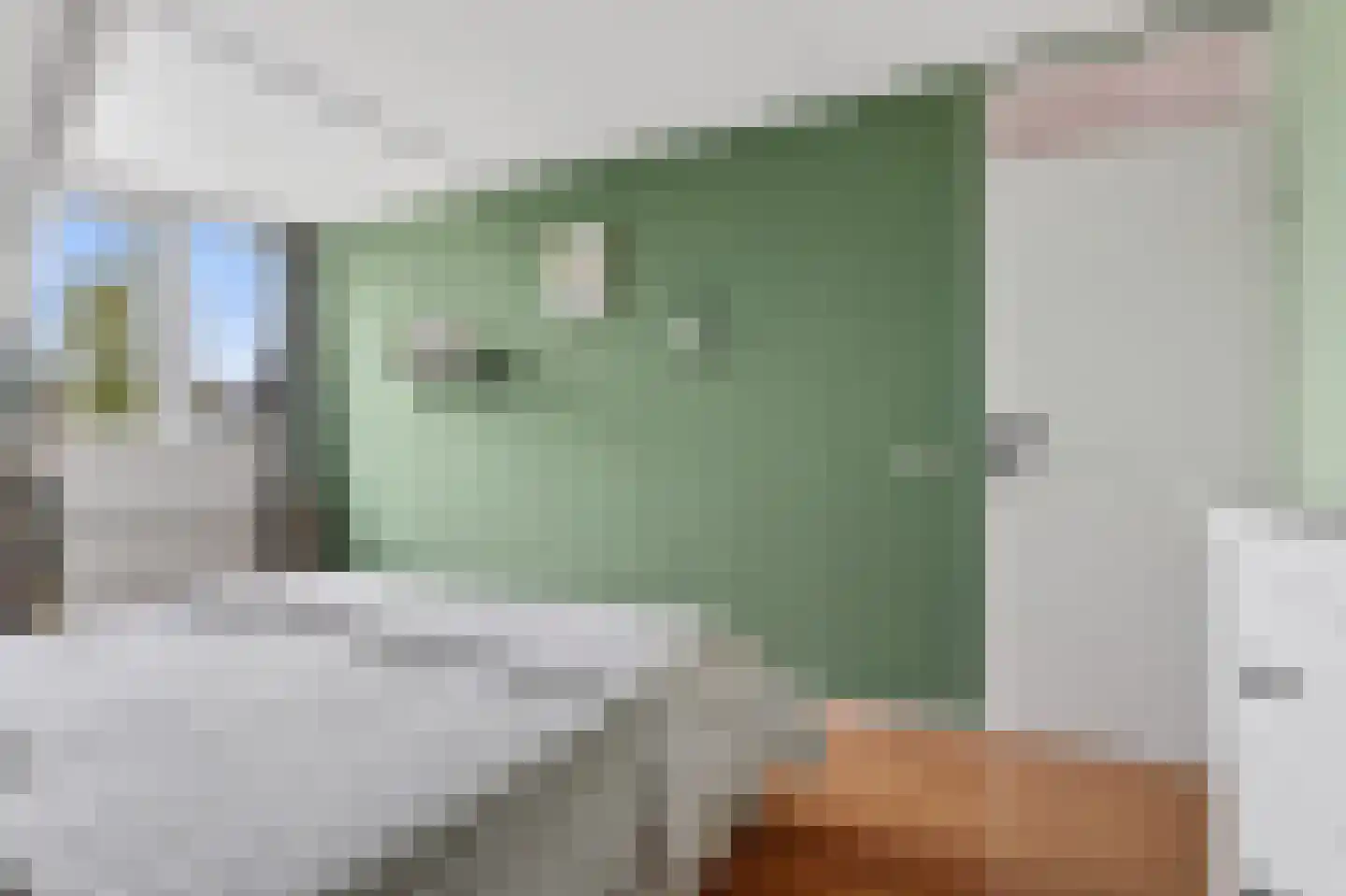 Wilgeroosje 22 Sneek thumbnail 16