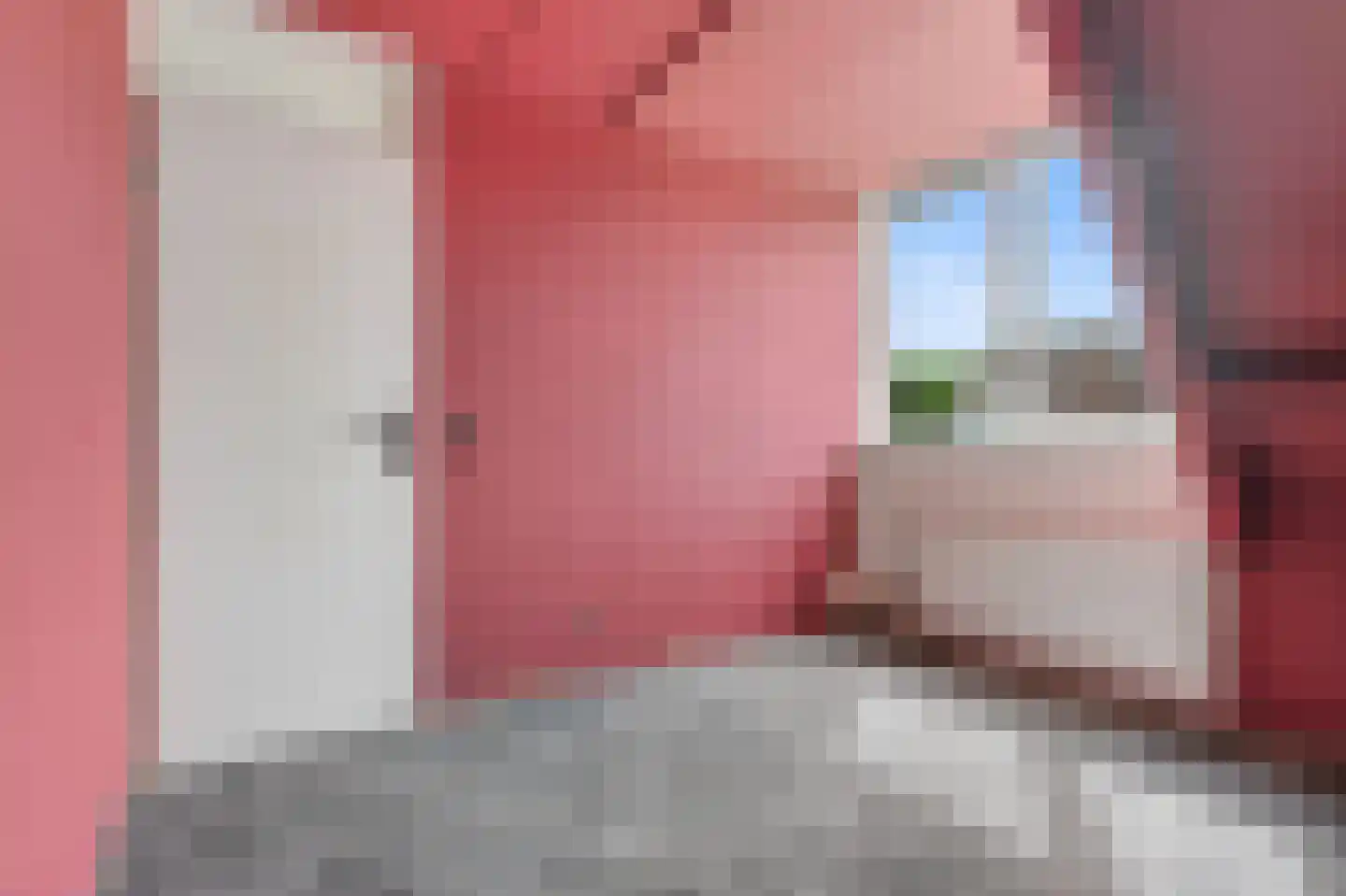 Wilgeroosje 22 Sneek thumbnail 17