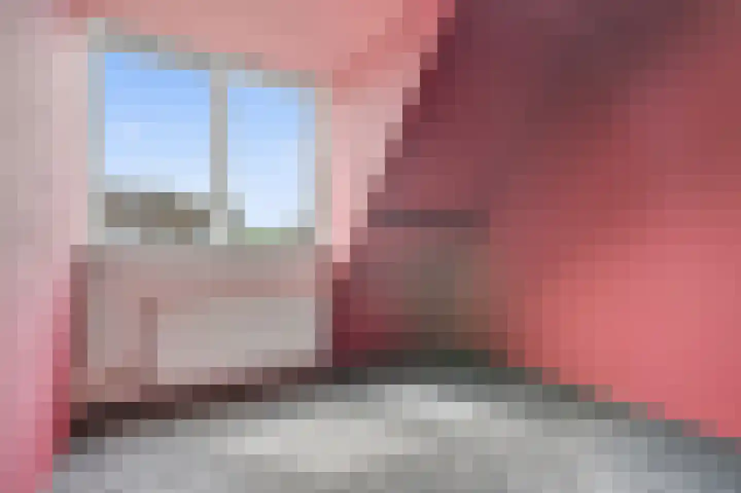 Wilgeroosje 22 Sneek thumbnail 18