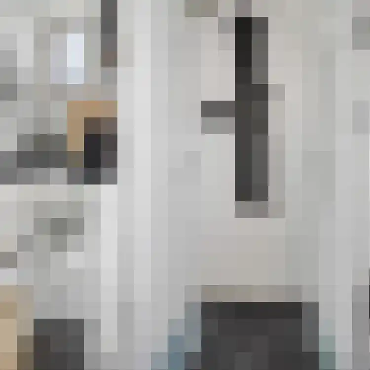 Wilgeroosje 22 Sneek thumbnail 19