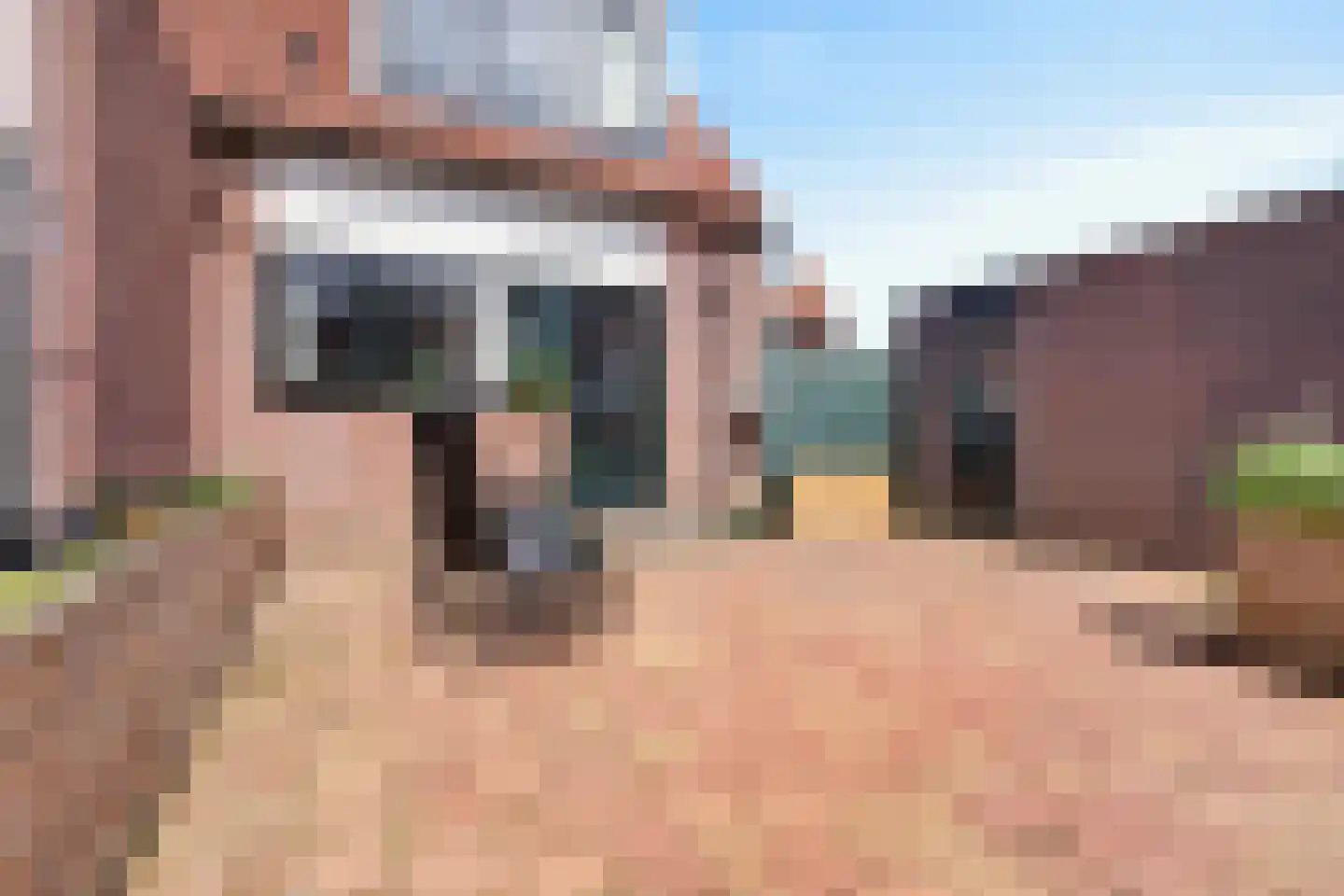 Wilgeroosje 22 Sneek thumbnail 28