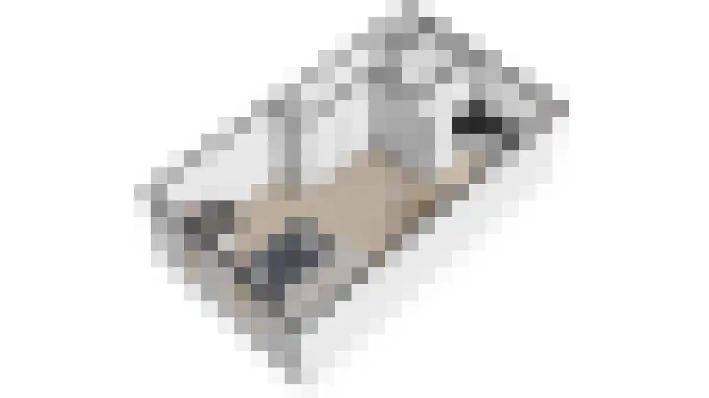 Wilgeroosje 22 Sneek thumbnail 34