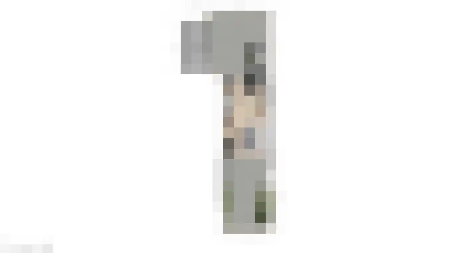 Wilgeroosje 22 Sneek thumbnail 39