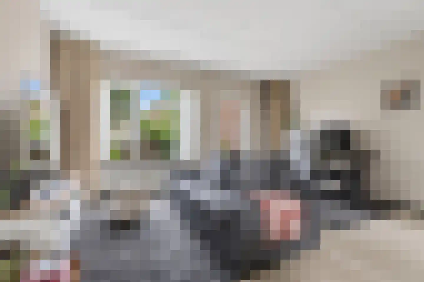 Wilgeroosje 22 Sneek thumbnail 4