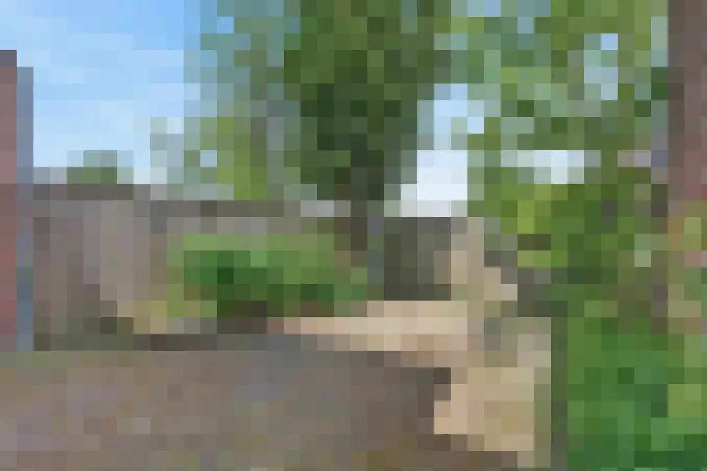 Wilgeroosje 22 Sneek thumbnail 5