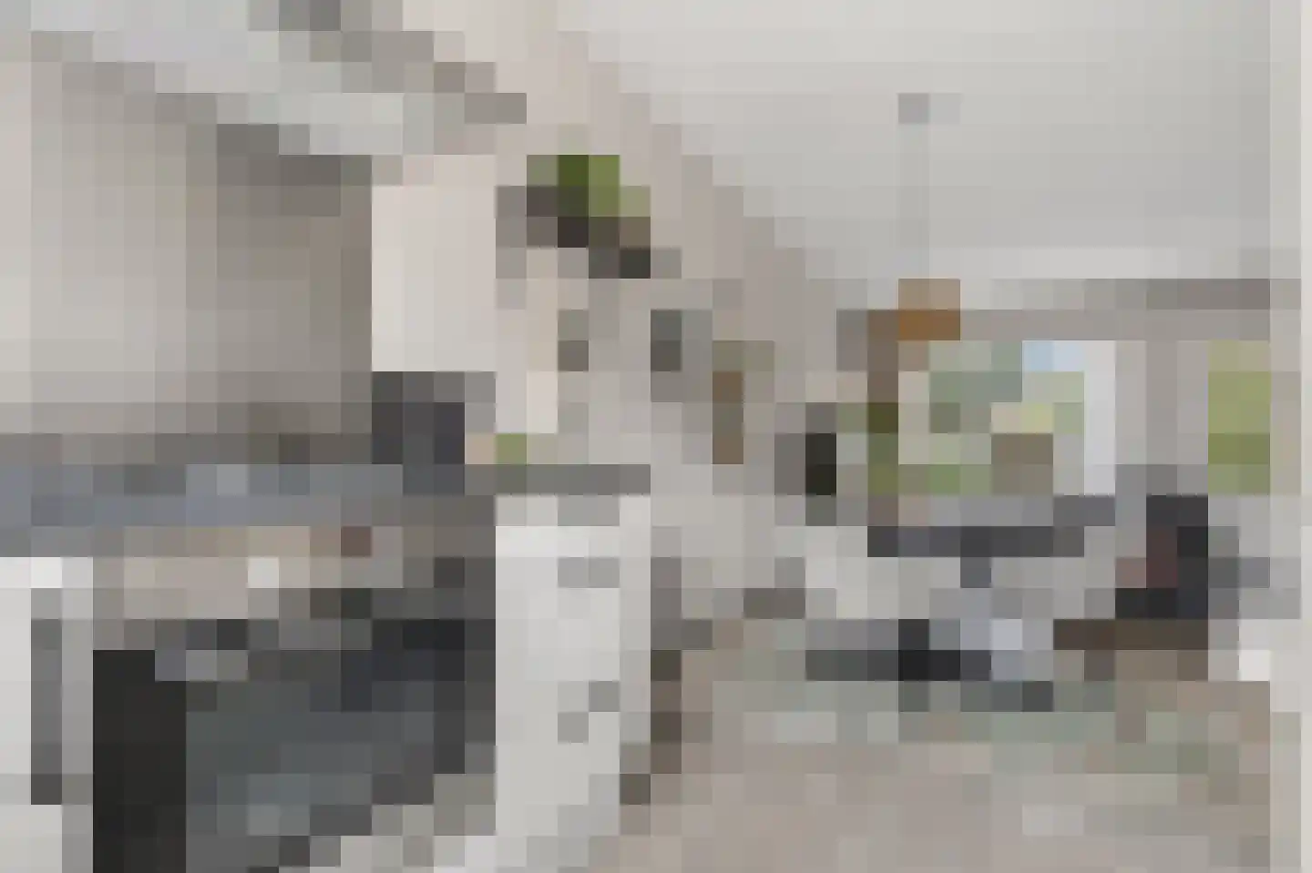 Wilgeroosje 22 Sneek thumbnail 9