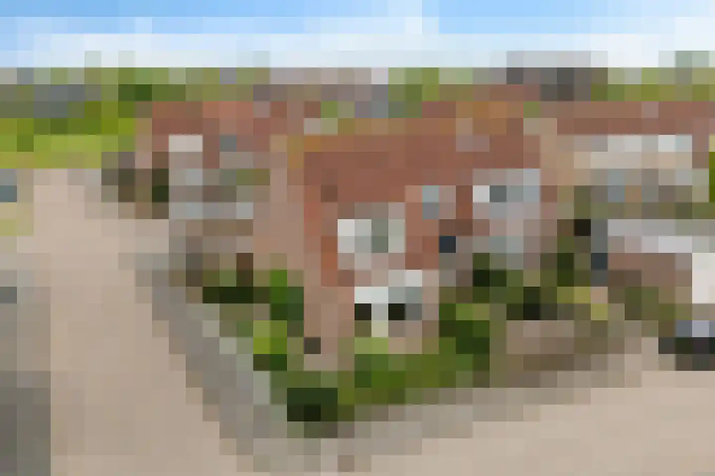 Wilgeroosje 33 in Sneek