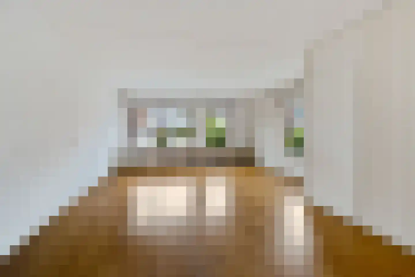 Wilgeroosje 33 Sneek thumbnail 10