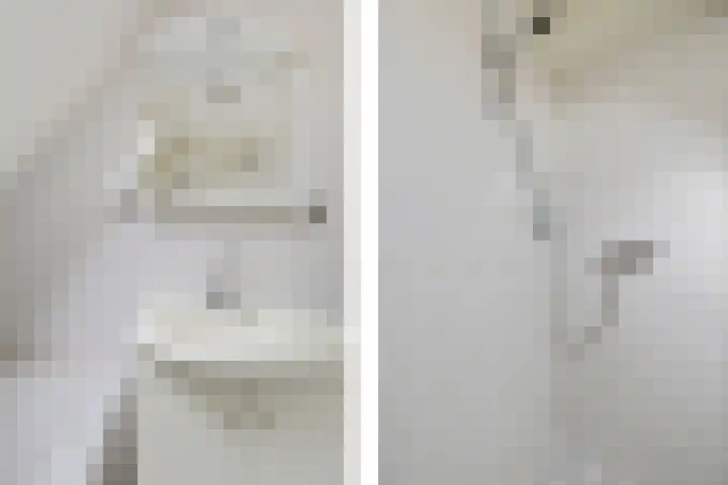Wilgeroosje 33 Sneek thumbnail 19