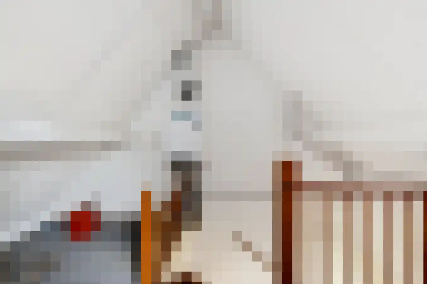 Wilgeroosje 33 Sneek thumbnail 21