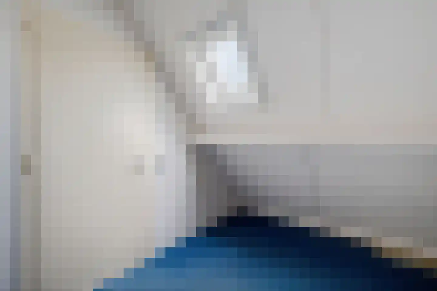 Wilgeroosje 33 Sneek thumbnail 22