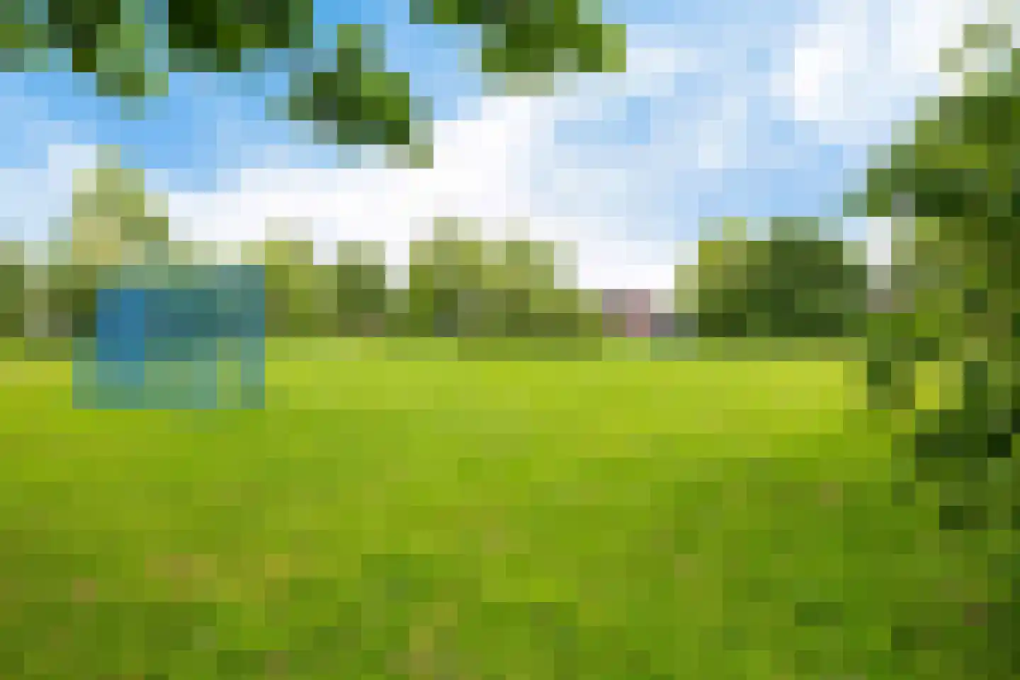Wilgeroosje 33 Sneek thumbnail 23