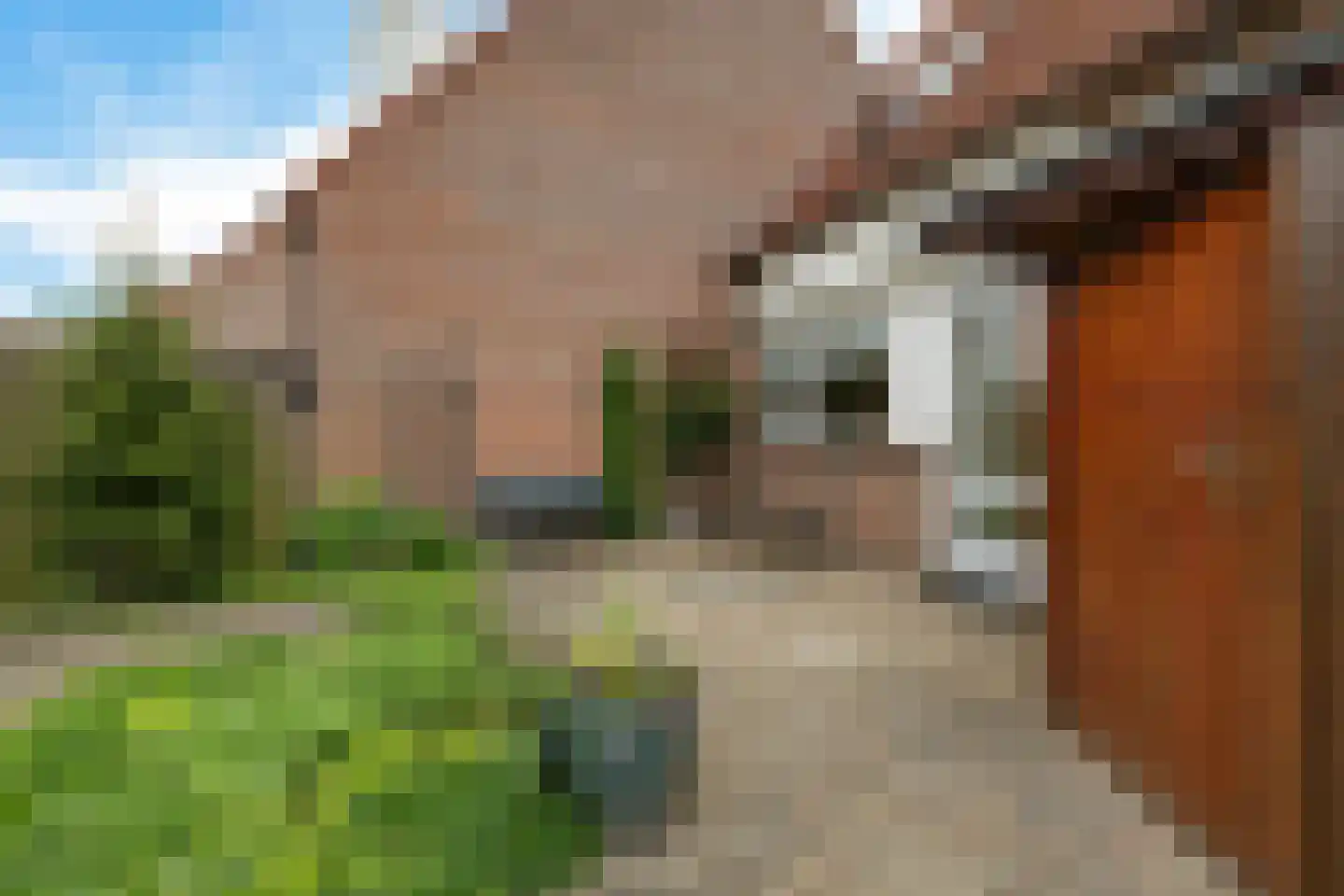 Wilgeroosje 33 Sneek thumbnail 26