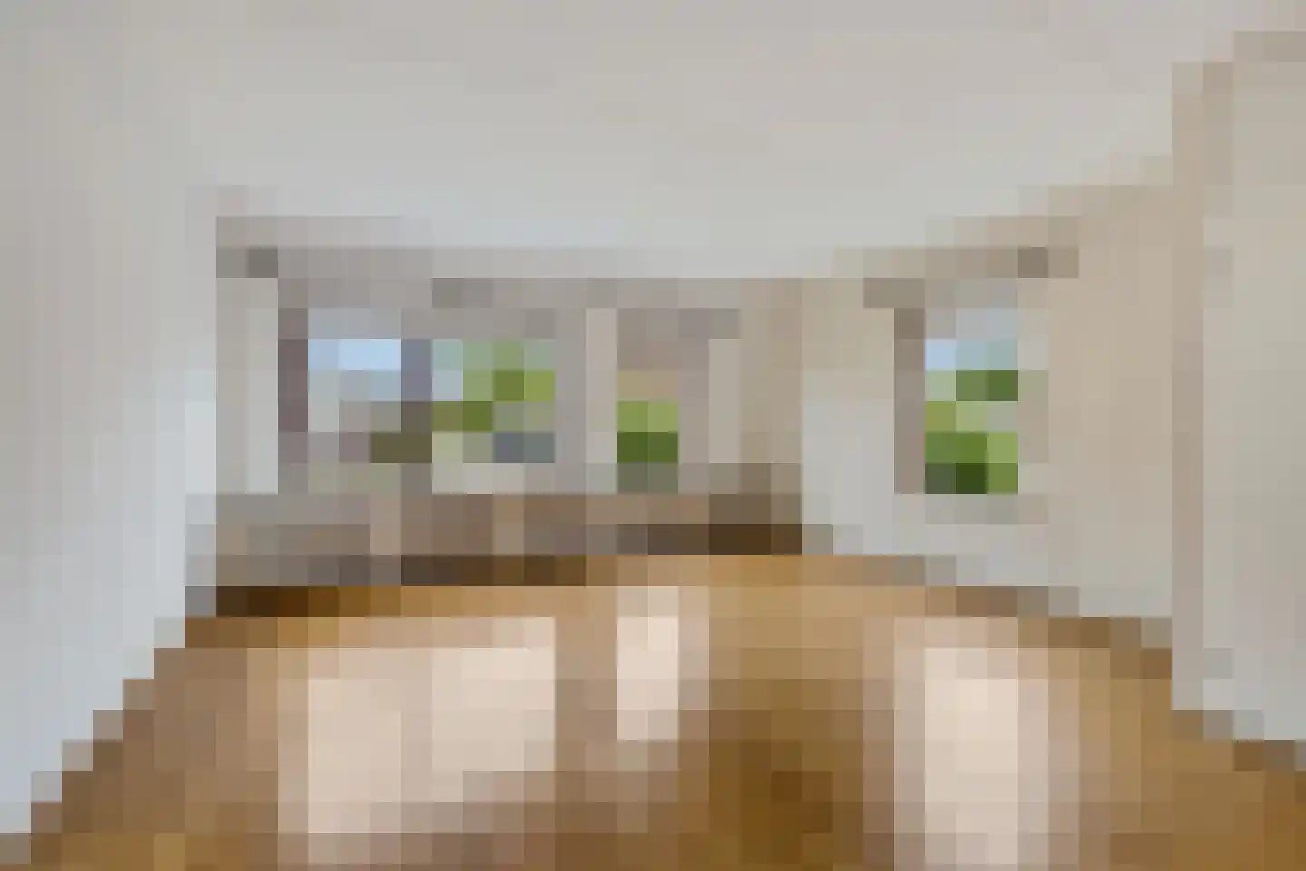 Wilgeroosje 33 Sneek foto 3