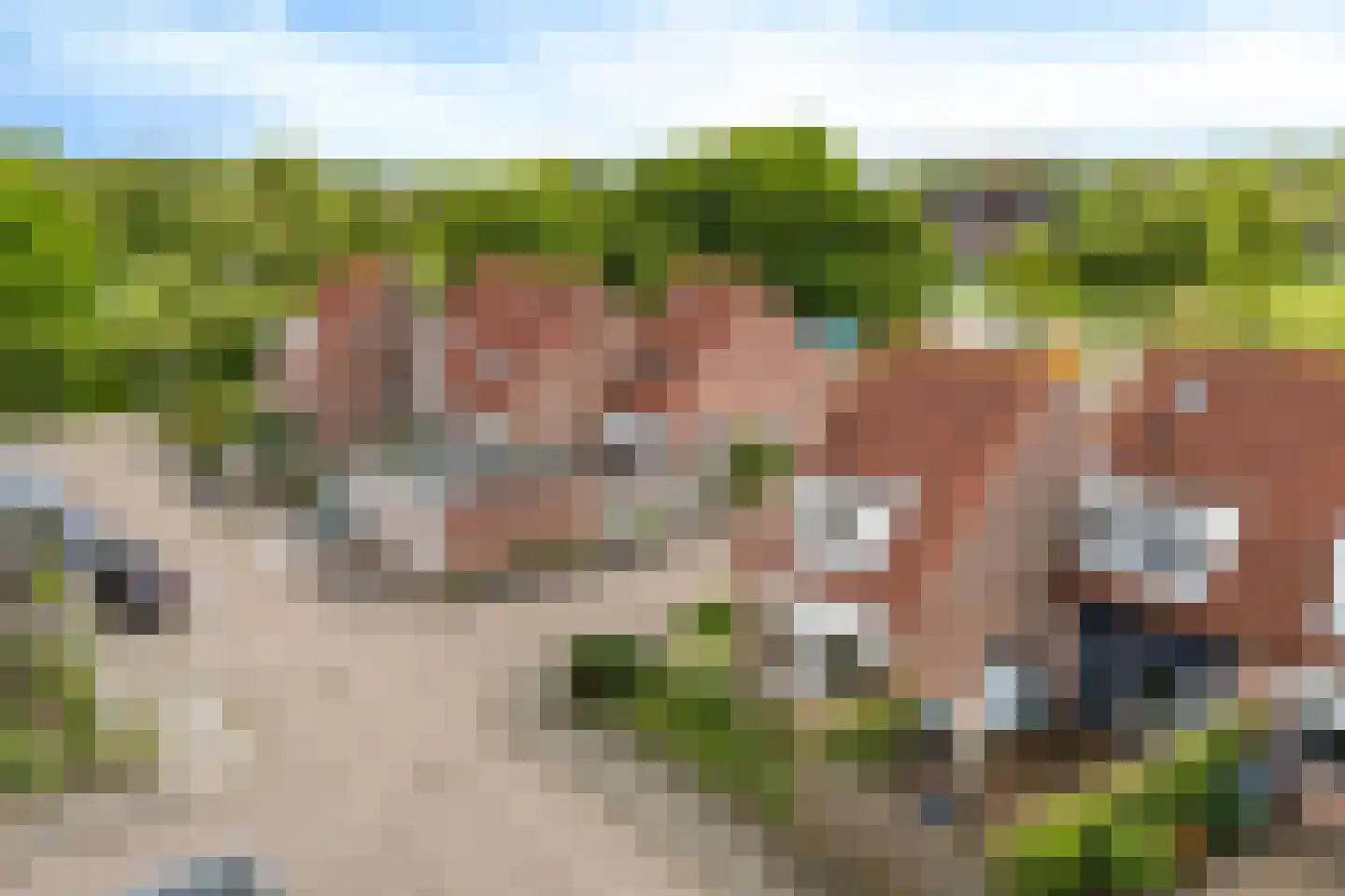 Wilgeroosje 33 Sneek thumbnail 33