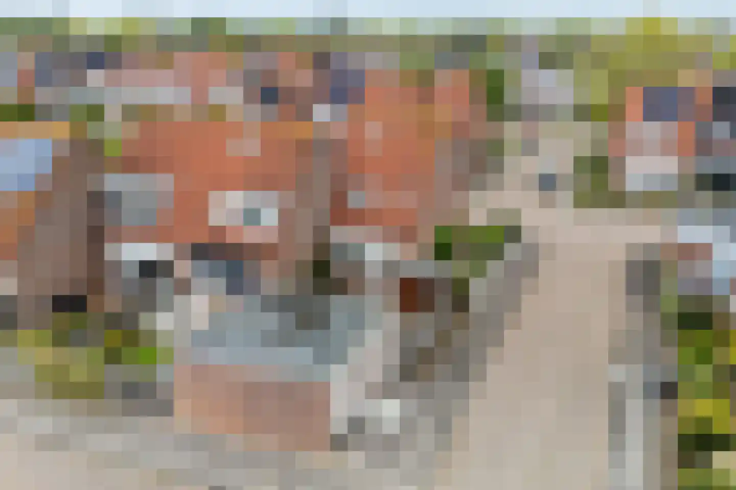Wilgeroosje 33 Sneek thumbnail 34