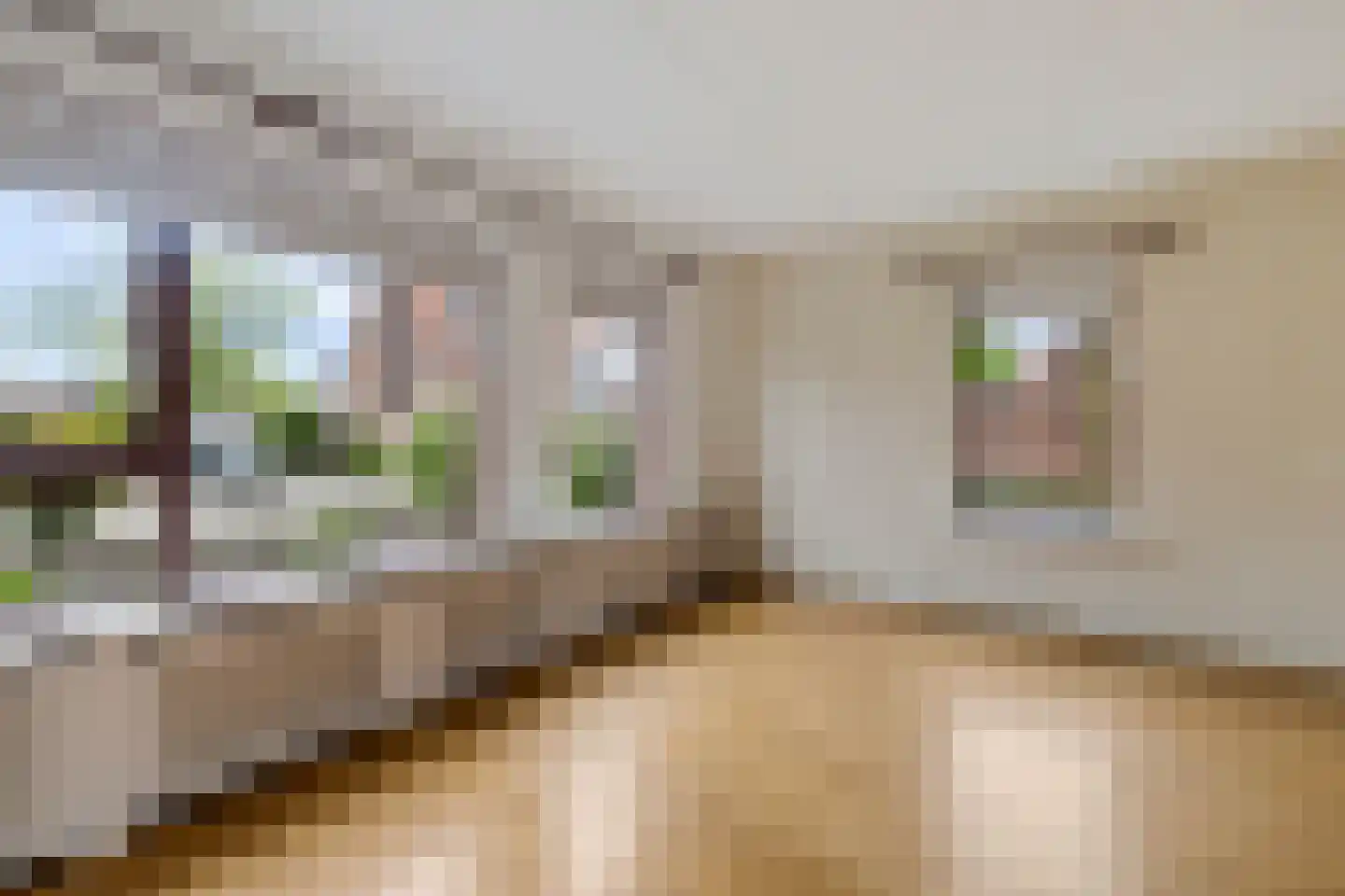 Wilgeroosje 33 Sneek thumbnail 7