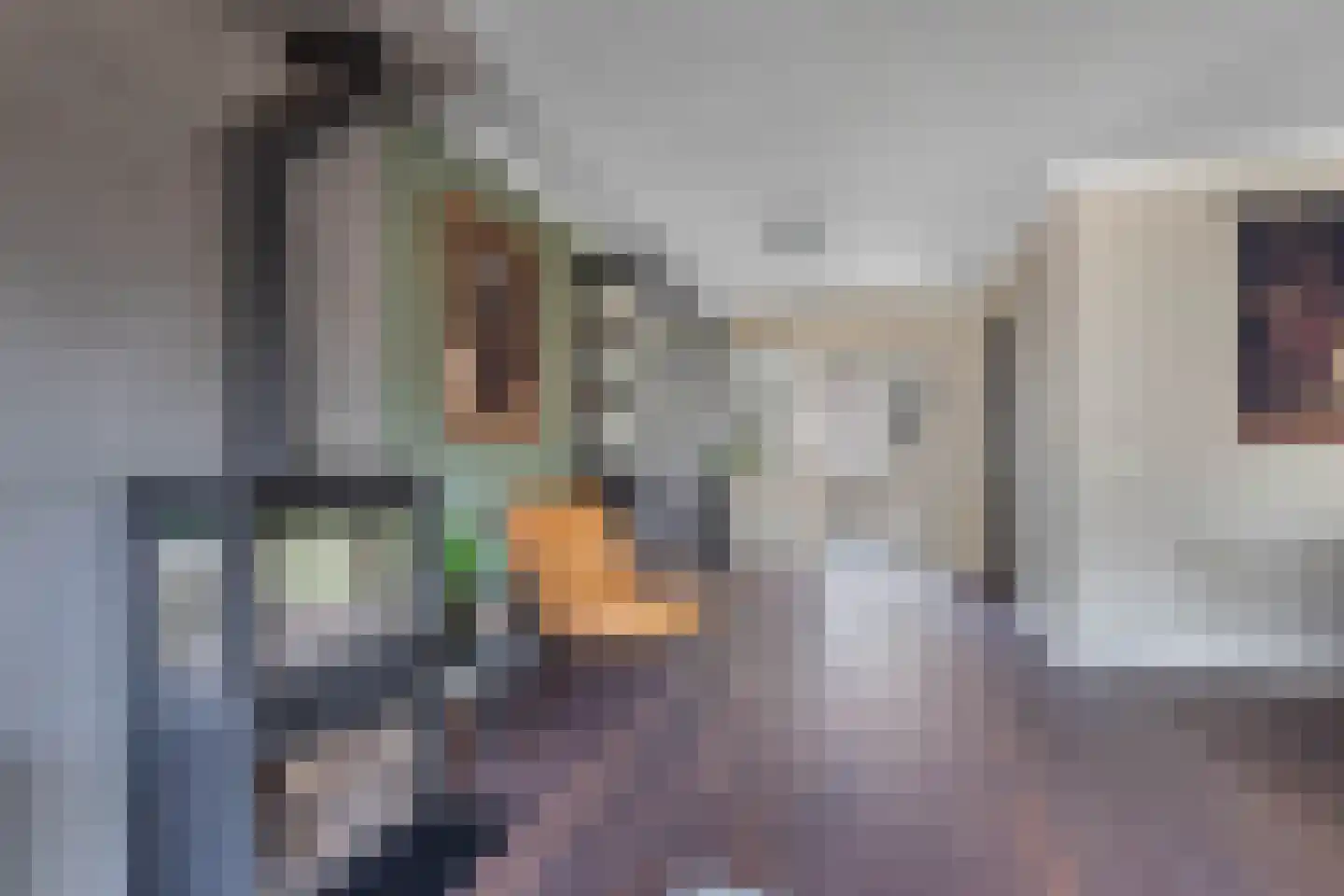 Wilgeroosje 36 Heino thumbnail 10