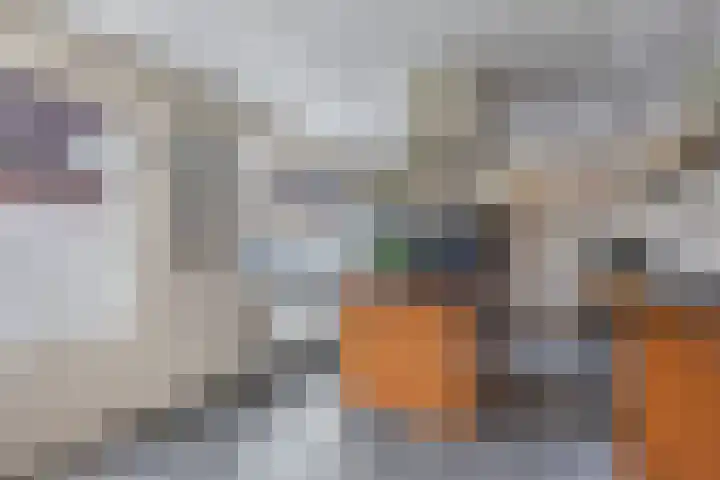 Wilgeroosje 36 Heino thumbnail 12