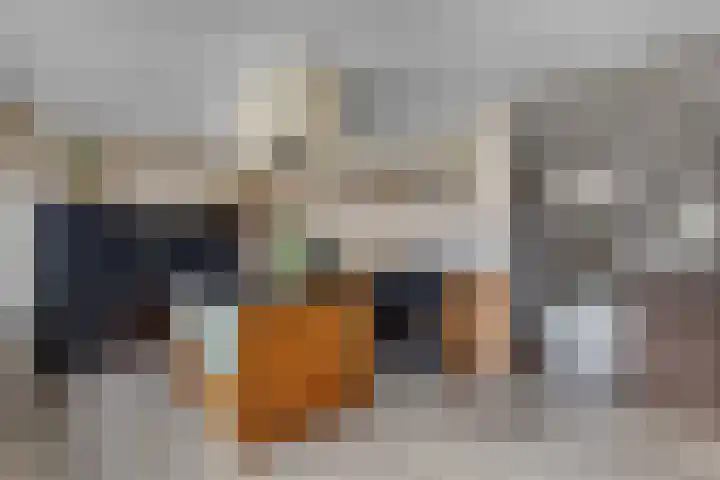 Wilgeroosje 36 Heino thumbnail 13