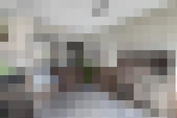 Wilgeroosje 36 Heino thumbnail 14