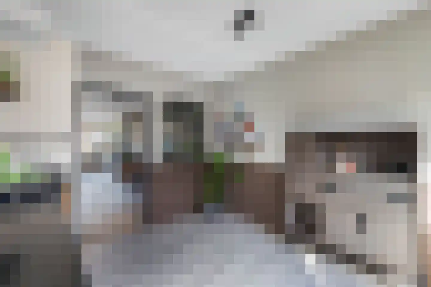 Wilgeroosje 36 Heino thumbnail 14