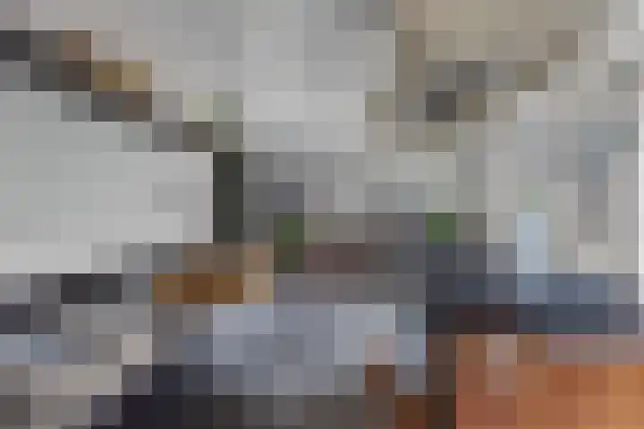 Wilgeroosje 36 Heino thumbnail 15