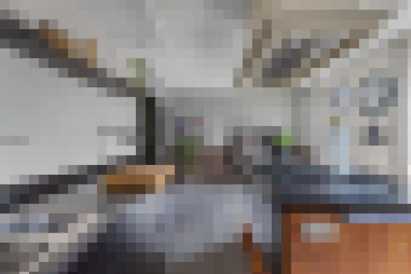 Wilgeroosje 36 Heino thumbnail 15