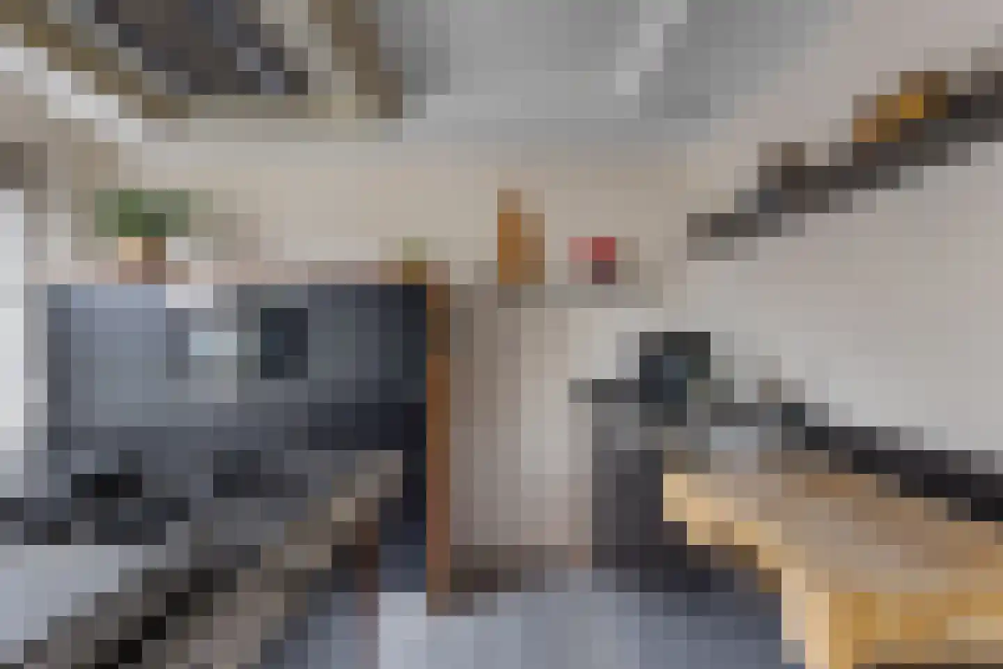 Wilgeroosje 36 Heino thumbnail 16