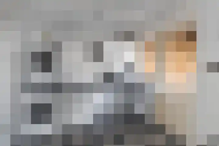 Wilgeroosje 36 Heino thumbnail 17
