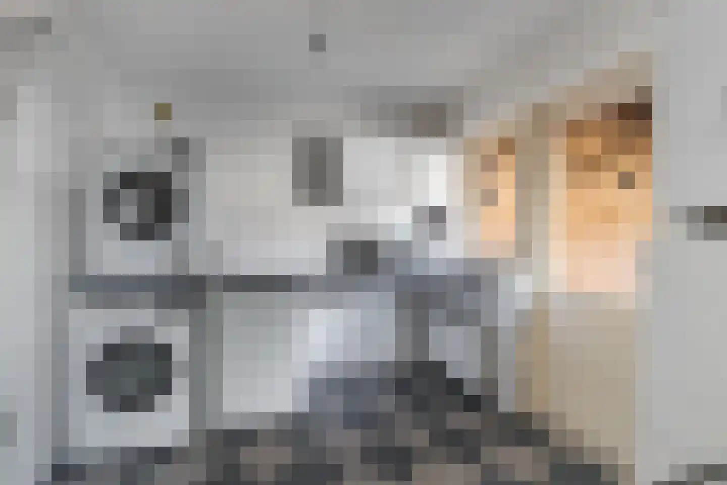 Wilgeroosje 36 Heino thumbnail 18