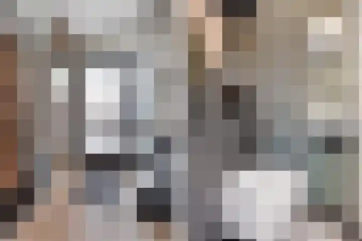 Wilgeroosje 36 Heino thumbnail 20