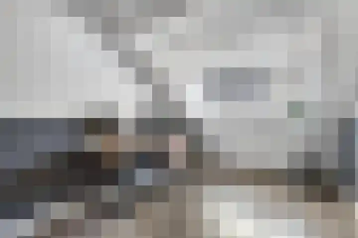 Wilgeroosje 36 Heino thumbnail 24