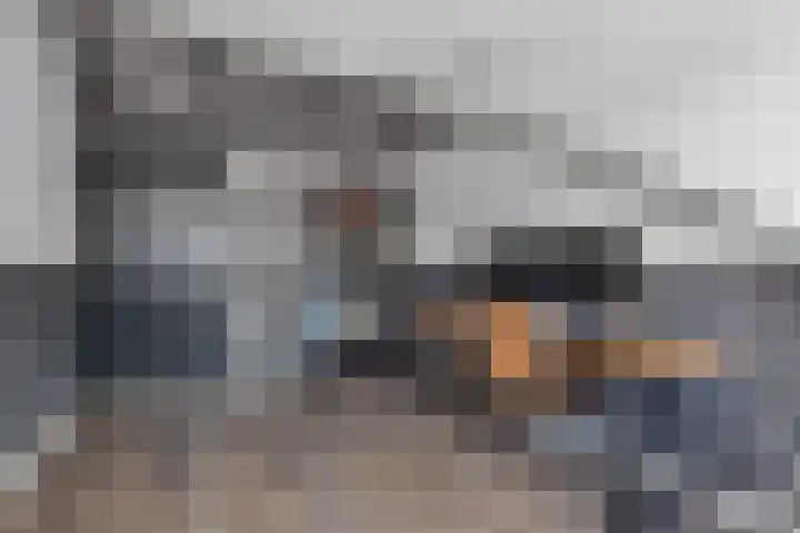 Wilgeroosje 36 Heino thumbnail 25