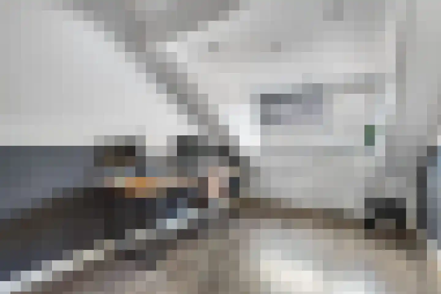 Wilgeroosje 36 Heino thumbnail 25