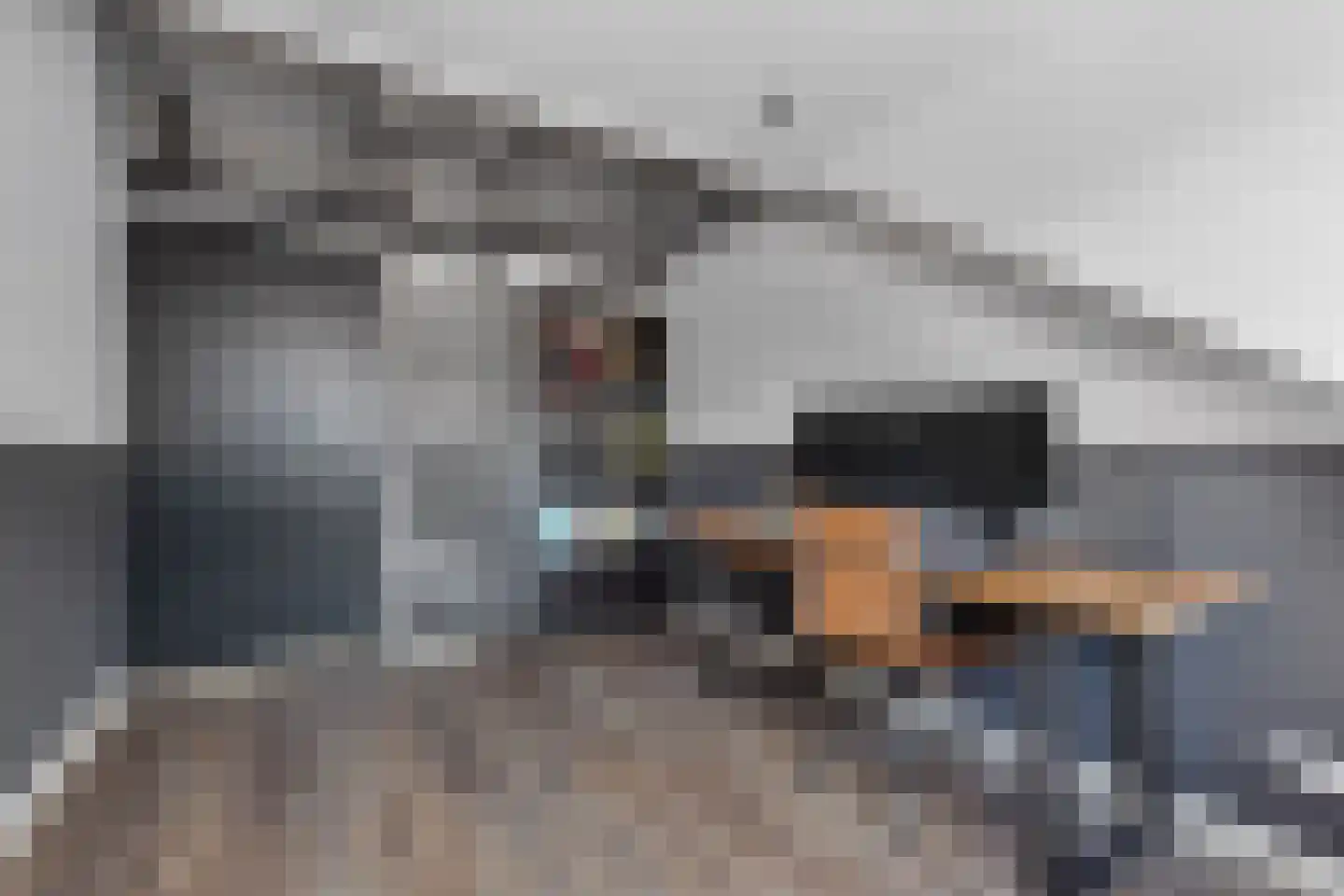 Wilgeroosje 36 Heino thumbnail 26
