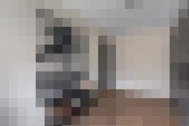 Wilgeroosje 36 Heino thumbnail 27