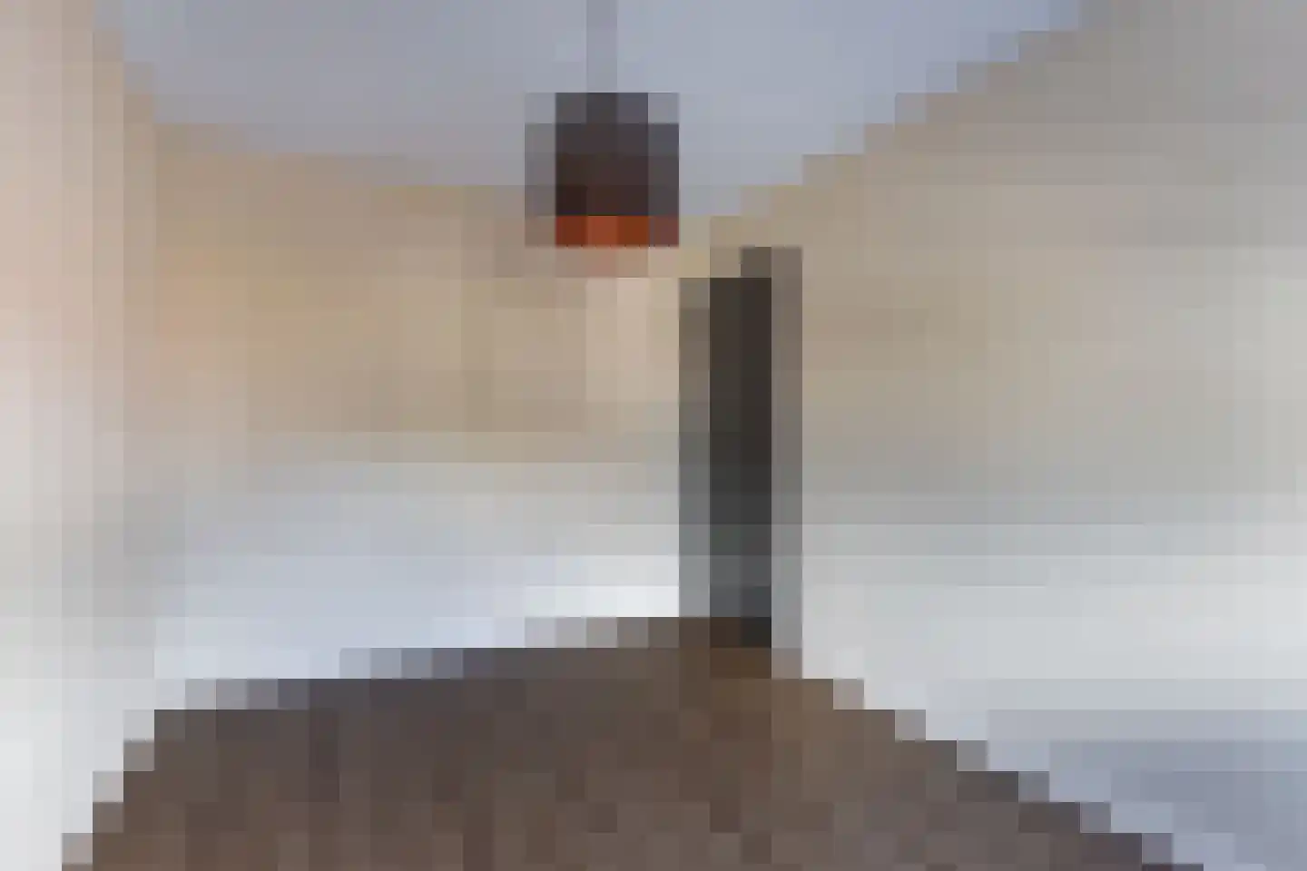 Wilgeroosje 36 Heino thumbnail 32