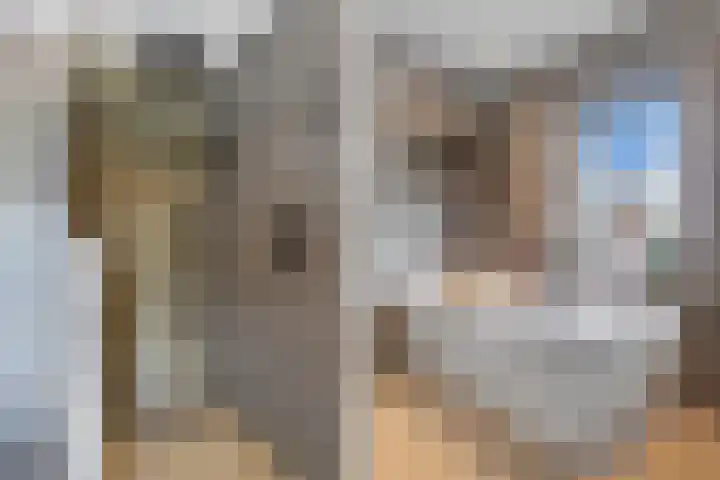 Wilgeroosje 36 Heino thumbnail 34