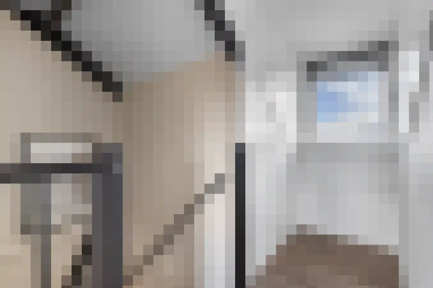 Wilgeroosje 36 Heino thumbnail 37
