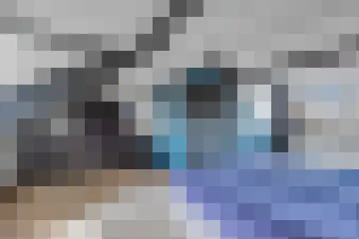 Wilgeroosje 36 Heino thumbnail 38