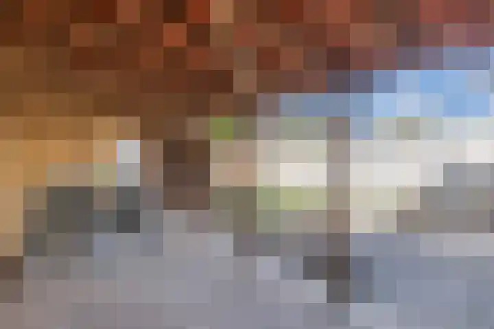 Wilgeroosje 36 Heino thumbnail 40