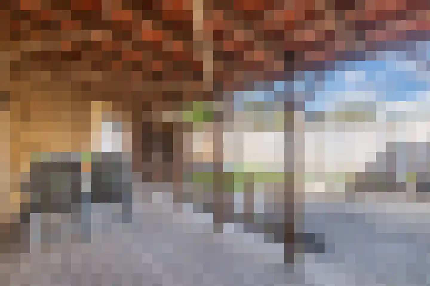 Wilgeroosje 36 Heino thumbnail 41