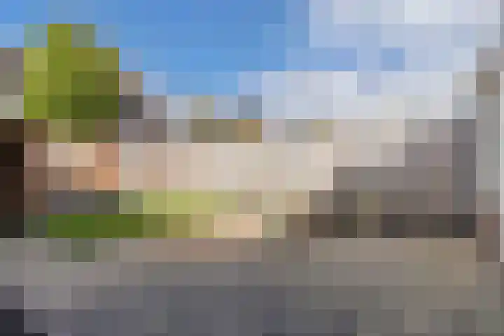 Wilgeroosje 36 Heino thumbnail 42