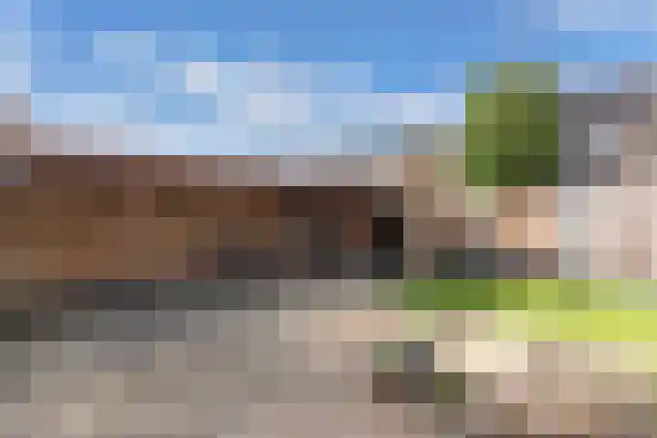Wilgeroosje 36 Heino thumbnail 43