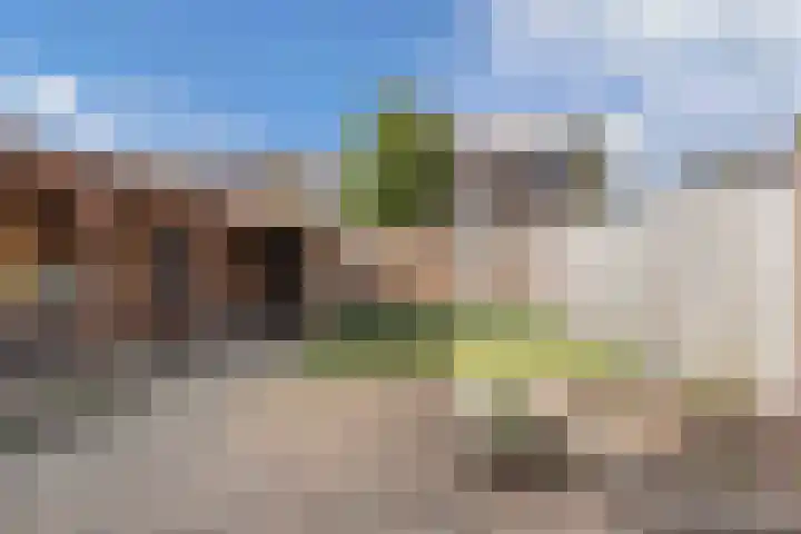 Wilgeroosje 36 Heino thumbnail 44