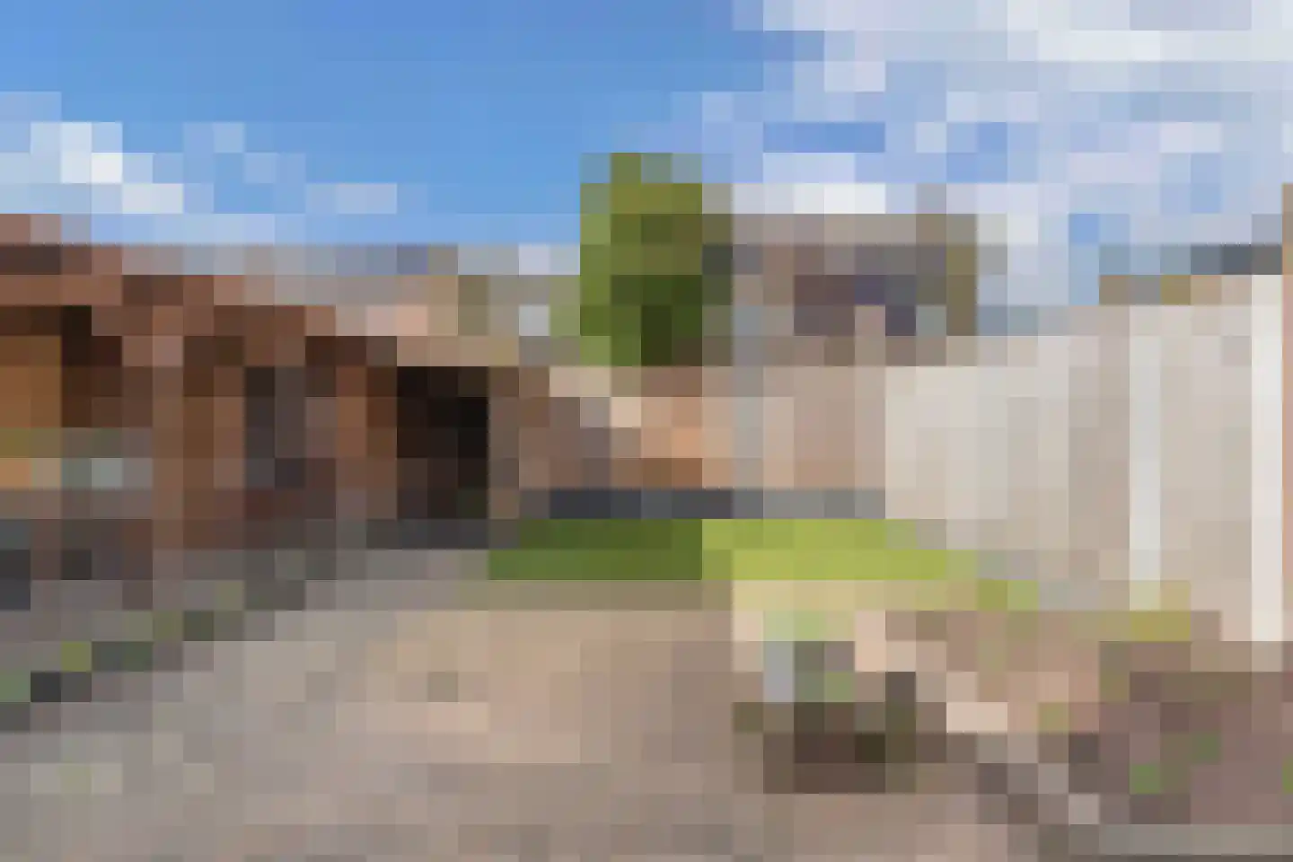 Wilgeroosje 36 Heino thumbnail 45