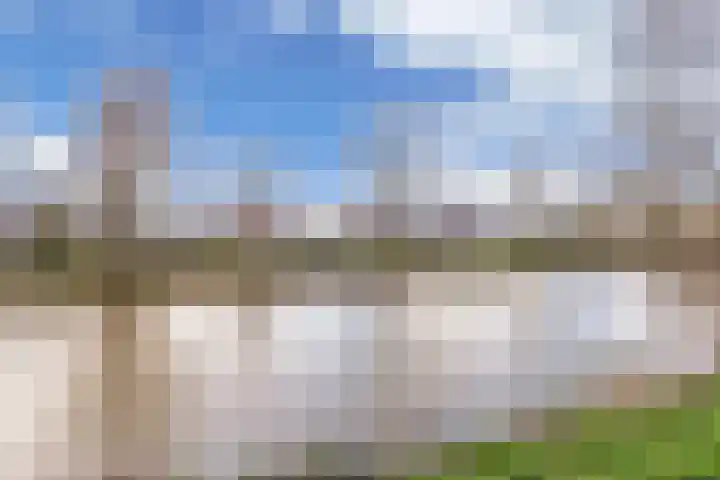 Wilgeroosje 36 Heino thumbnail 47