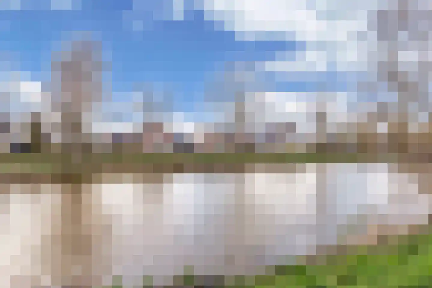 Wilgeroosje 36 Heino thumbnail 48