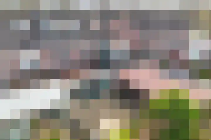 Wilgeroosje 36 Heino thumbnail 49